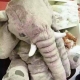 【I廠】大象毛絨玩具